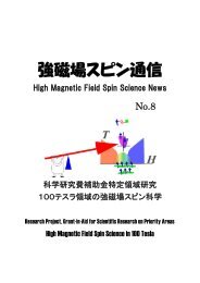 å¼·ç£å ´ã¹ãã³éä¿¡No.8, High Field Spin Science News No.8