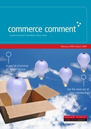 Commerce Comment February/March 2009 - Nelson Tasman ...