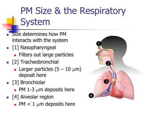 Particulate Matter 2.5