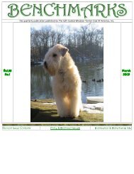 Benchmarks - Soft Coated Wheaten Terrier Club of America