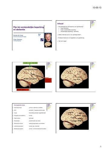 1.4 en 2.4 Pijn bij Dementie 13 mei - StudieArena