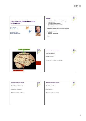 1.4 Pijn bij dementie-2 - StudieArena