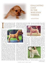 Evaluating Coat - Soft Coated Wheaten Terrier Club of America