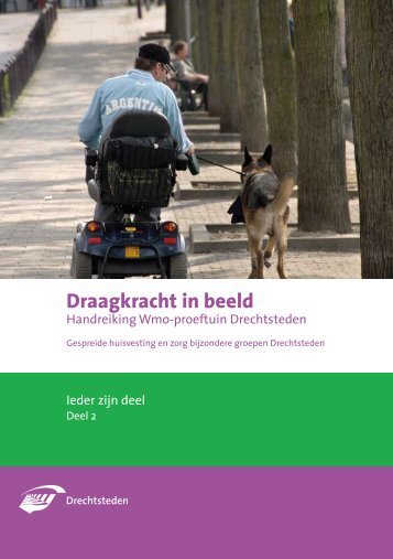 Voorbeeld 2 - Koepel Wmo-raden