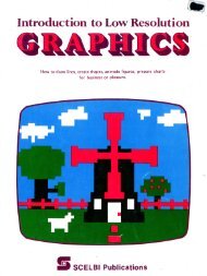 Microcomputer Graphics
