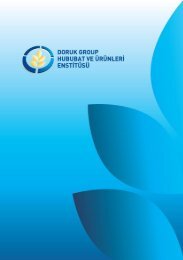 EKİM - Doruk Group Holding