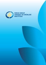 Pdf İndir - Doruk Group Holding