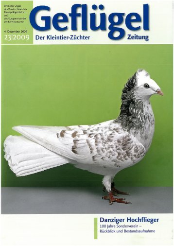 23 - SV der Danziger Hochflieger