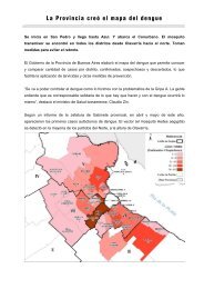 La Provincia creÃ³ el mapa del dengue - Ministerio de Jefatura de ...