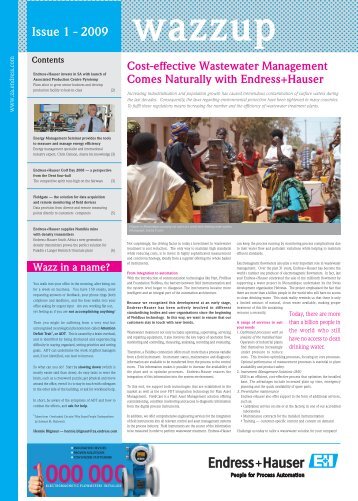 Issue 1 - Endress+Hauser South Africa