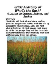 Grass Anatomy or What's the Rush? A Lesson on Grasses Sedges ...