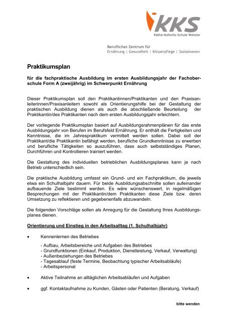 Praktikumsplan - KÃ¤the-Kollwitz-Schule Wetzlar