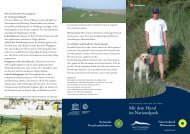 Mit dem Hund im Nationalpark - Wangerooge