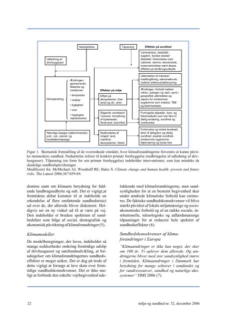 MiljÃ¸ og sundhed nr. 32, december 2006 (PDF 429KB)