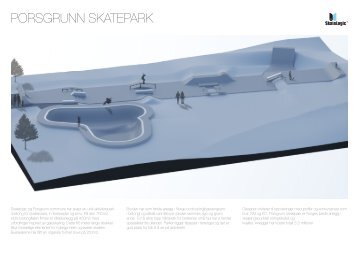 Porsgrunn Skatelogic - Bygg uten grenser
