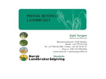 Kjell Tangen - Bygg uten grenser