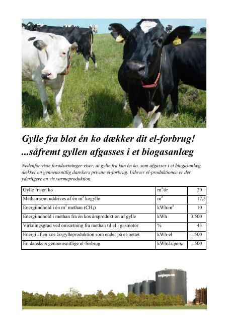 Biogass-presentasjon Svein Lilleengen (3.5 MB) - Bygg uten grenser