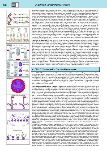 BIOLOGY - microscopia.info