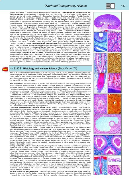 BIOLOGY - microscopia.info