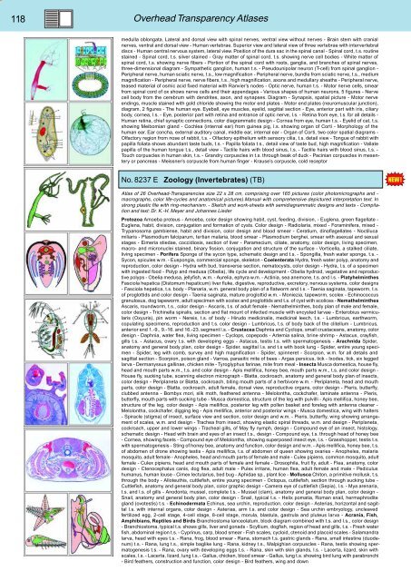 BIOLOGY - microscopia.info