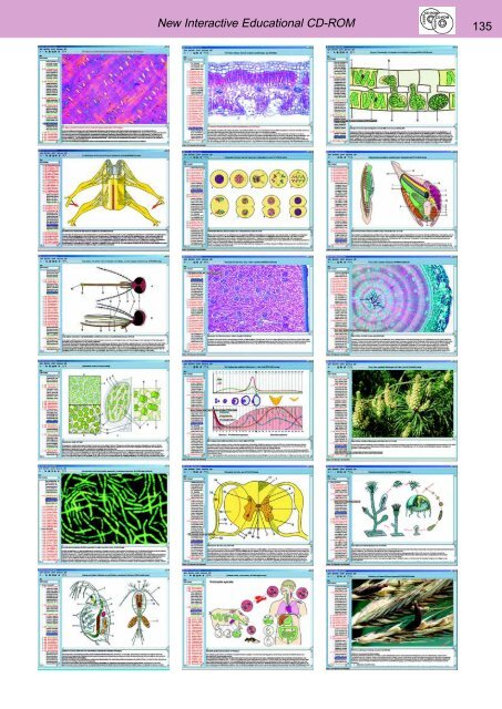 BIOLOGY - microscopia.info