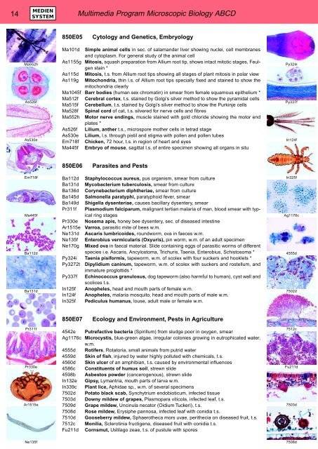 BIOLOGY - microscopia.info