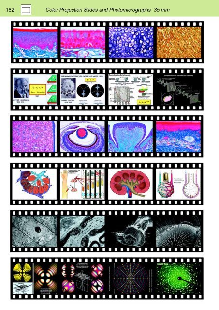 BIOLOGY - microscopia.info