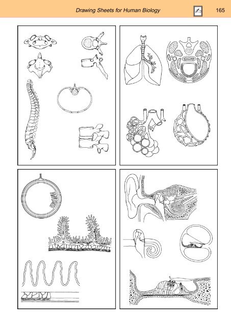 BIOLOGY - microscopia.info