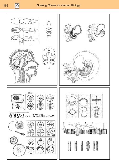 BIOLOGY - microscopia.info