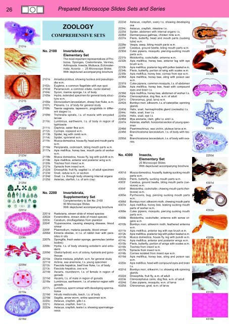 BIOLOGY - microscopia.info