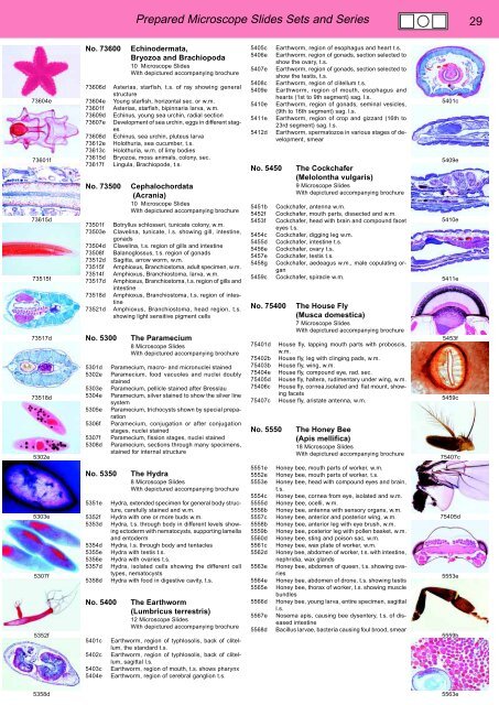 BIOLOGY - microscopia.info