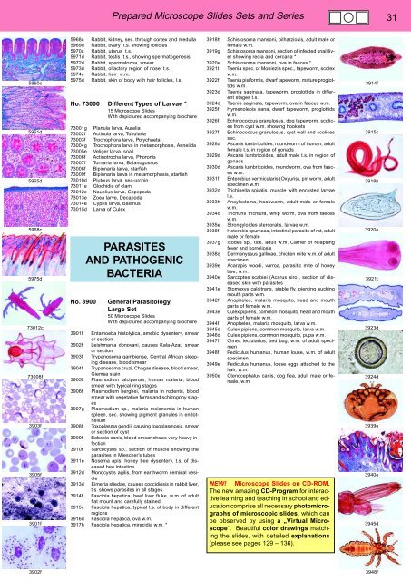 BIOLOGY - microscopia.info