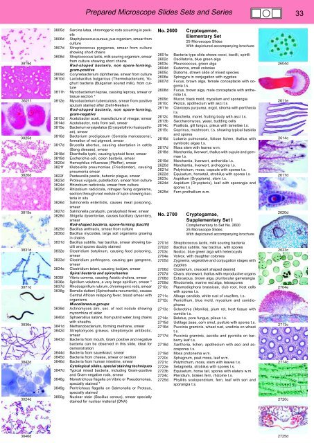 BIOLOGY - microscopia.info