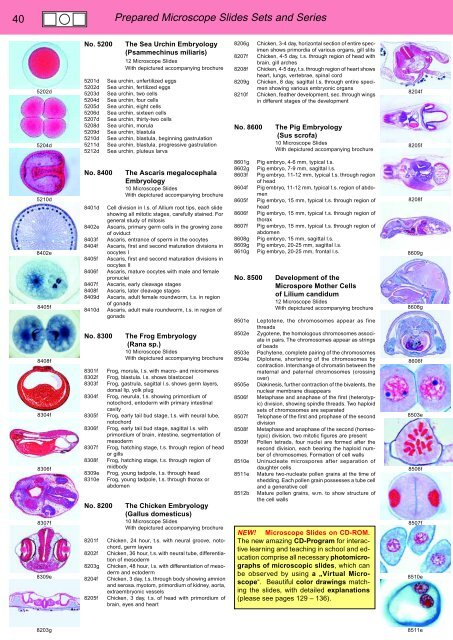 BIOLOGY - microscopia.info