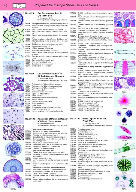 BIOLOGY - microscopia.info