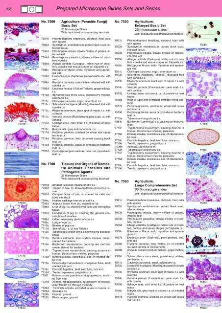 BIOLOGY - microscopia.info