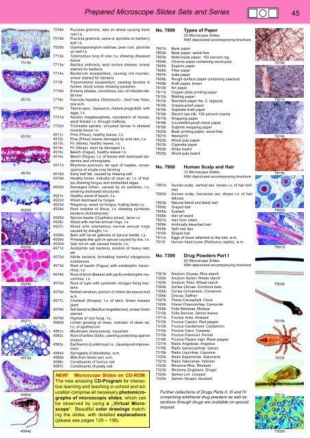 BIOLOGY - microscopia.info