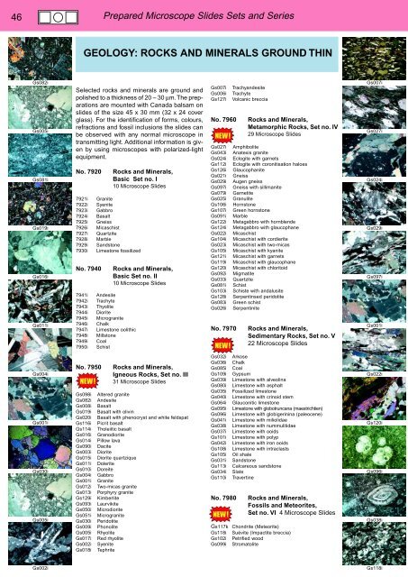 BIOLOGY - microscopia.info