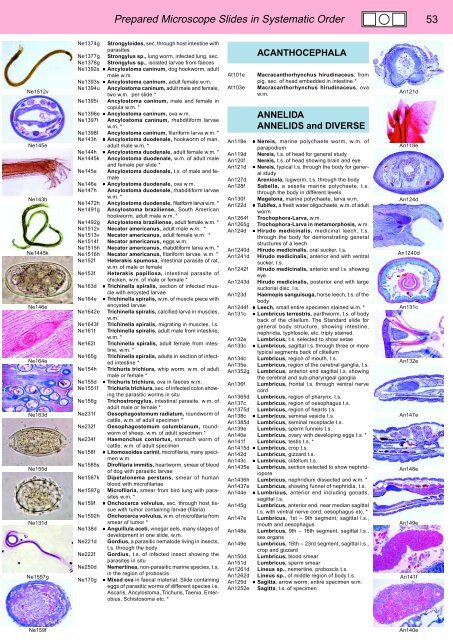 BIOLOGY - microscopia.info