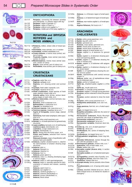 BIOLOGY - microscopia.info