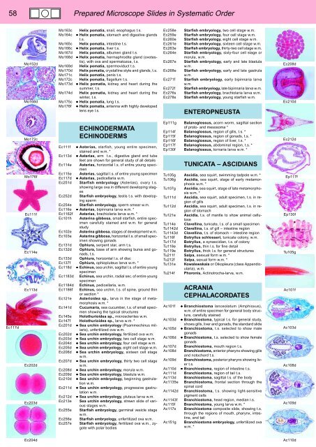 BIOLOGY - microscopia.info