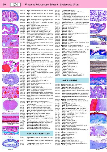 BIOLOGY - microscopia.info