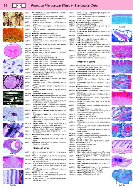 BIOLOGY - microscopia.info