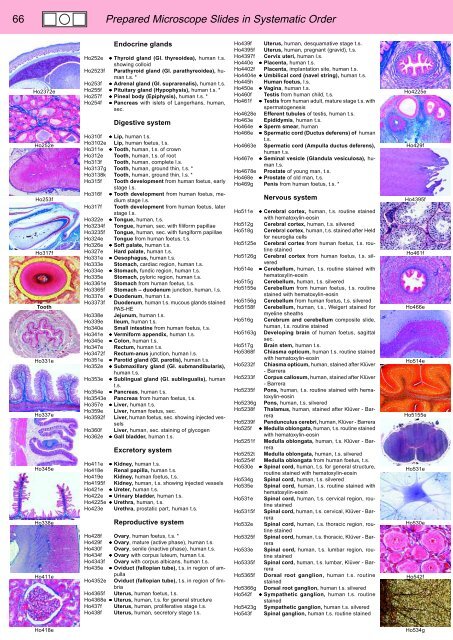 BIOLOGY - microscopia.info