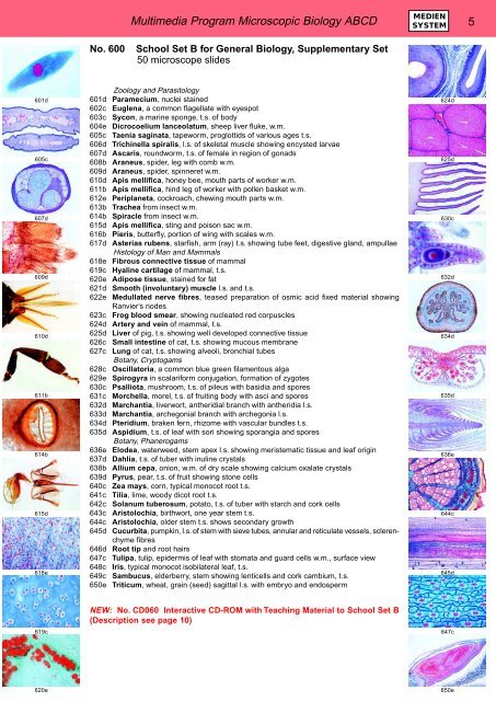 BIOLOGY - microscopia.info