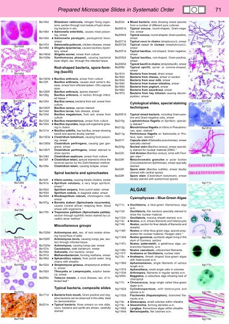 BIOLOGY - microscopia.info