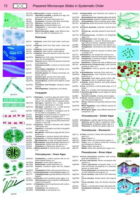 BIOLOGY - microscopia.info