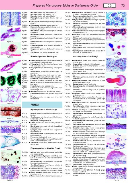 BIOLOGY - microscopia.info