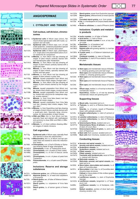 BIOLOGY - microscopia.info