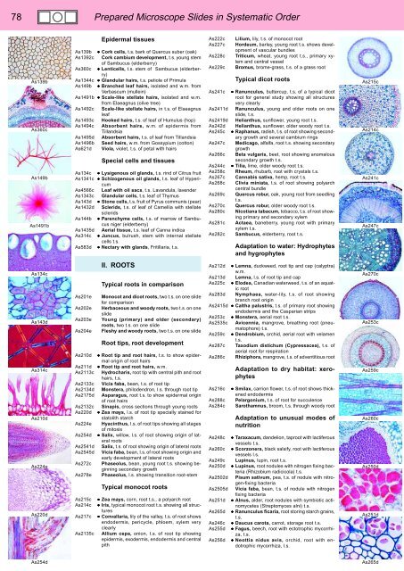 BIOLOGY - microscopia.info